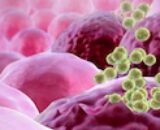 Video: Swine Flu MOA