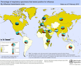 Run simulation around influenza virus using FluNet