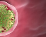 Latest News: Swine Flu