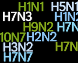 Types of Influenza Virus